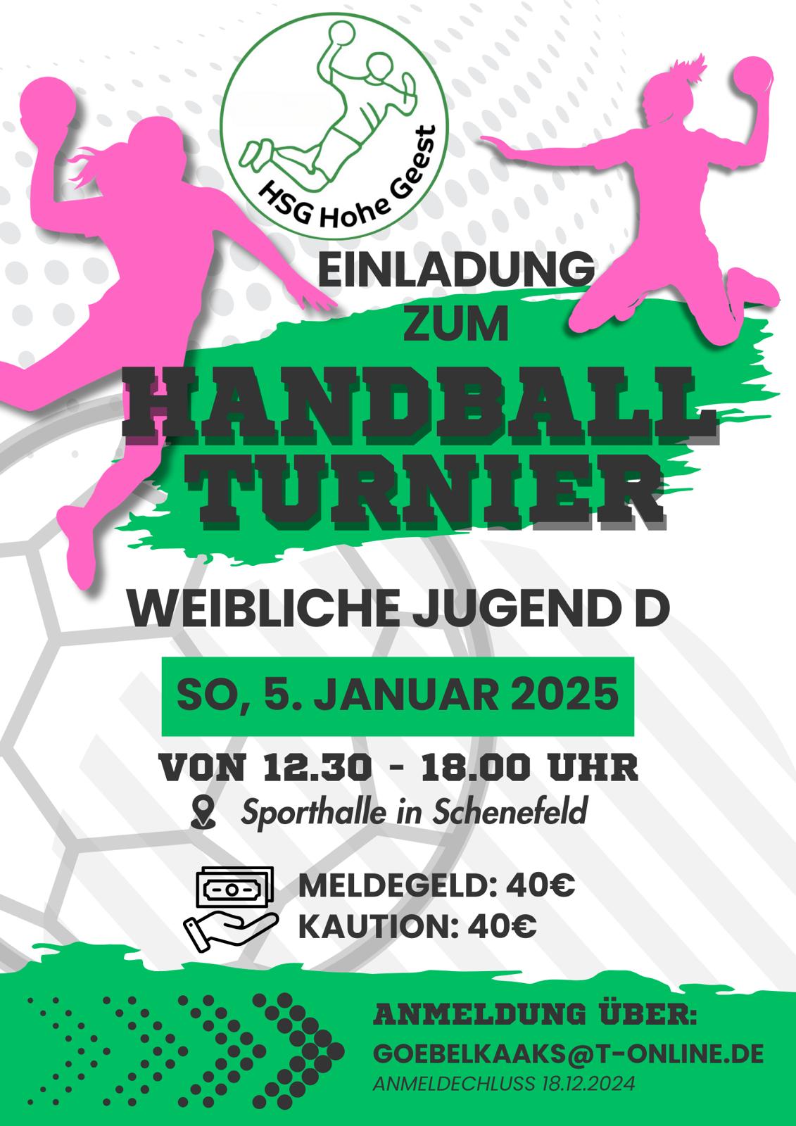 Handballturnier weibliche D-Jugend